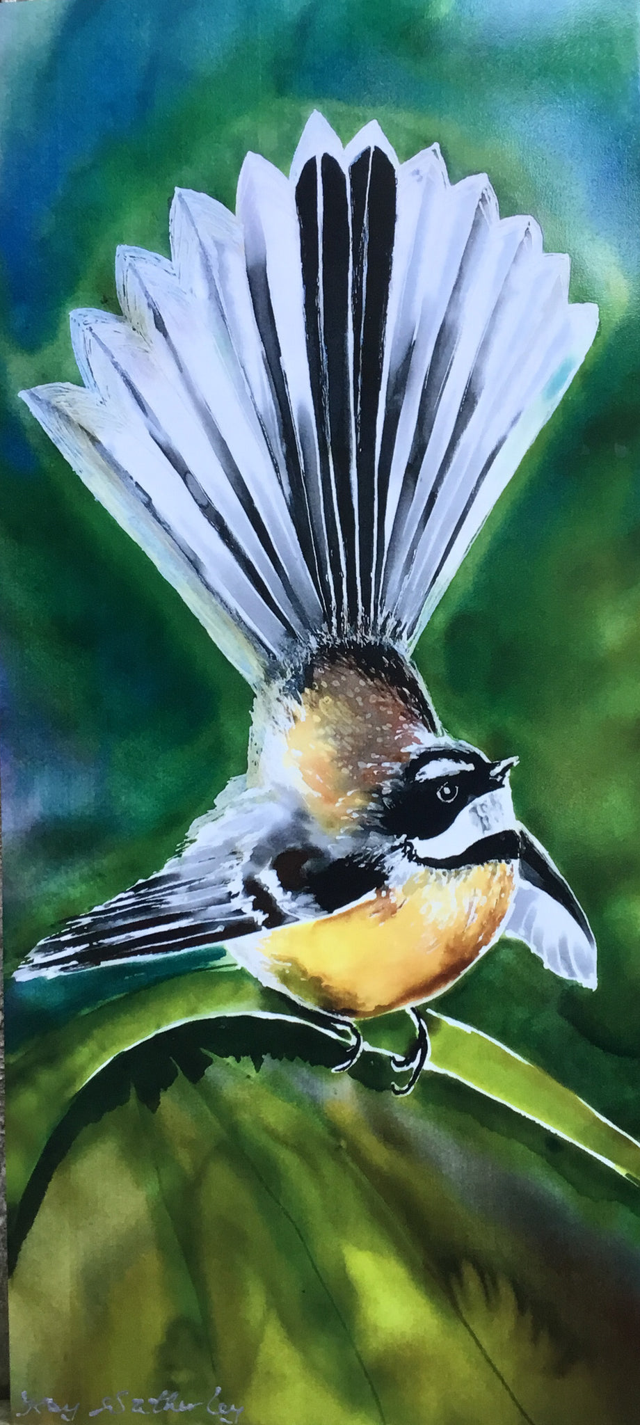 A Video of NZ Birds Outdoor and Indoor Art.