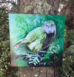 Kakapo -  Outdoor Art Squarish