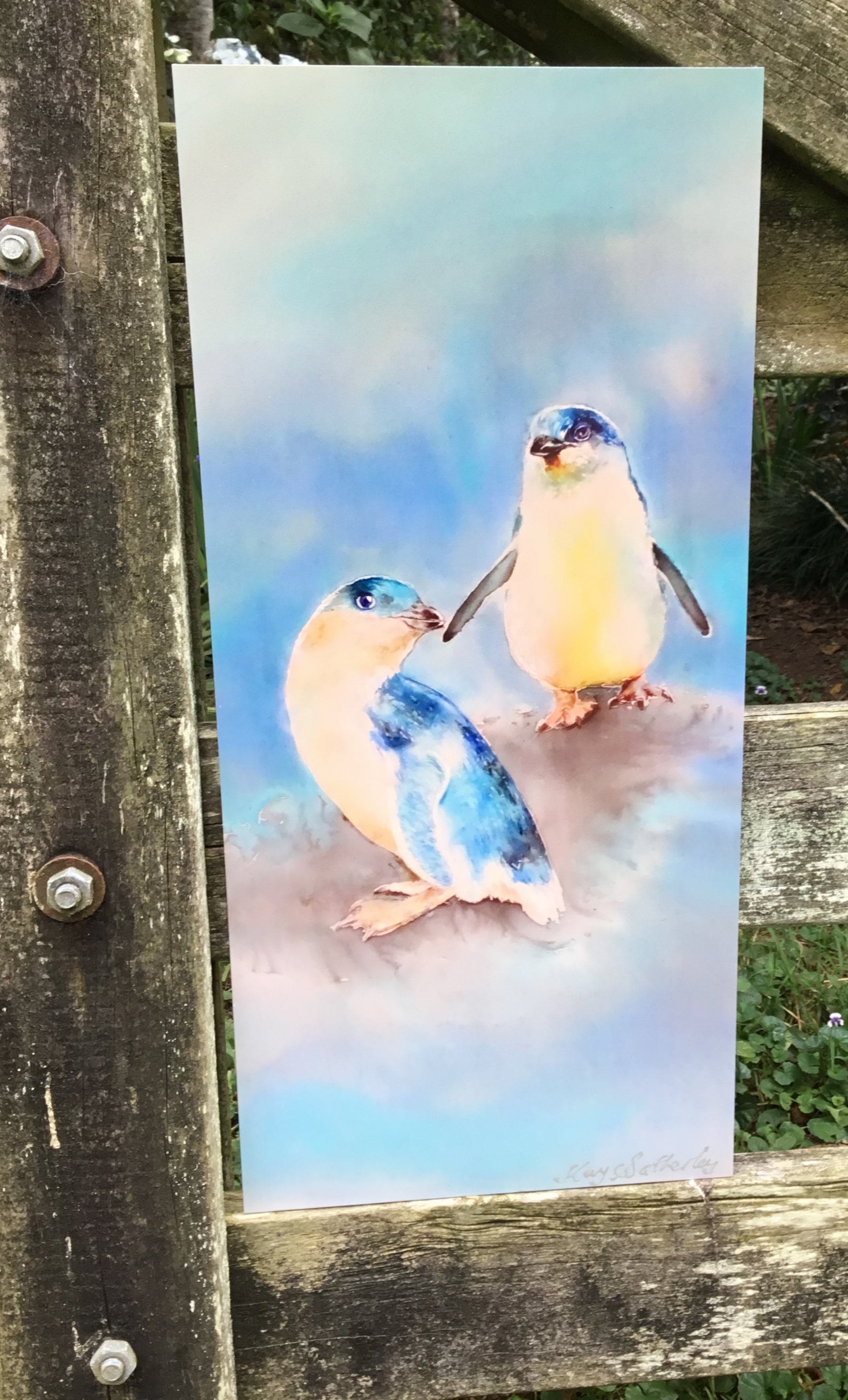 Little Blue Peguins, Korora  -  Outdoor Garden Art Panel