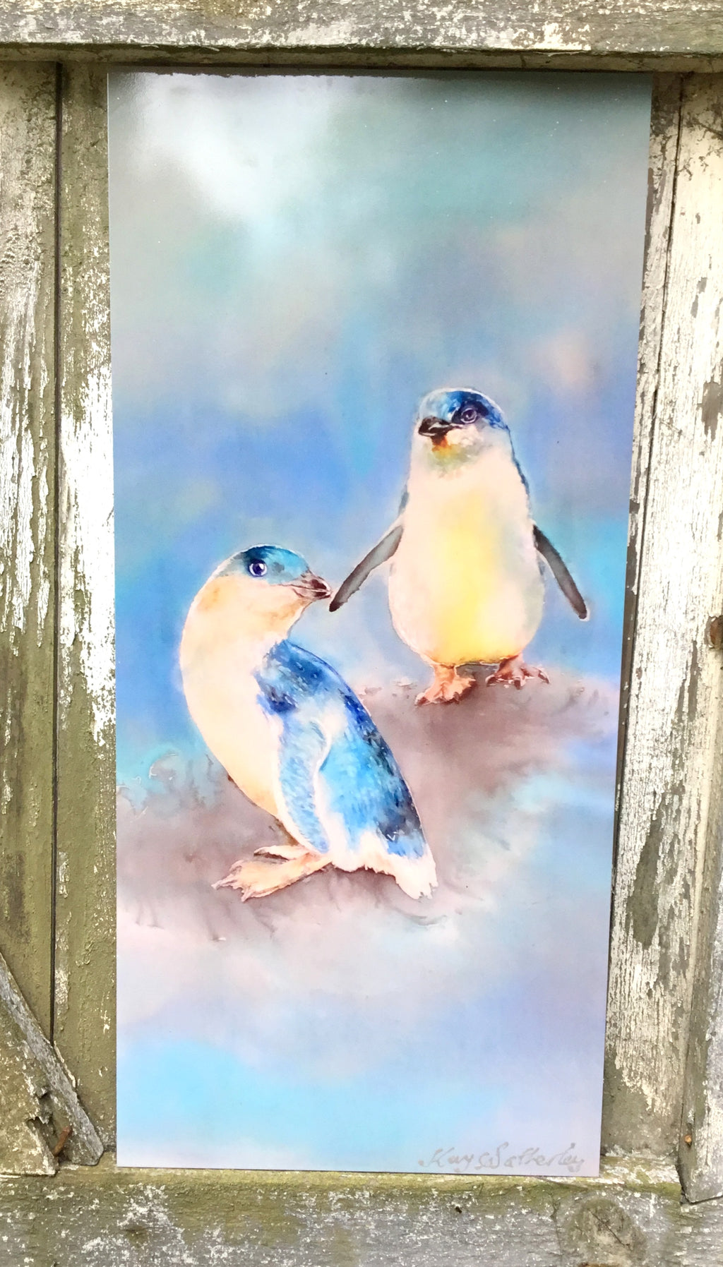 Little Blue Peguins, Korora  -  Outdoor Garden Art Panel