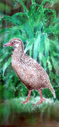 New Zealand Weka - Outdoor Garden Art Panel