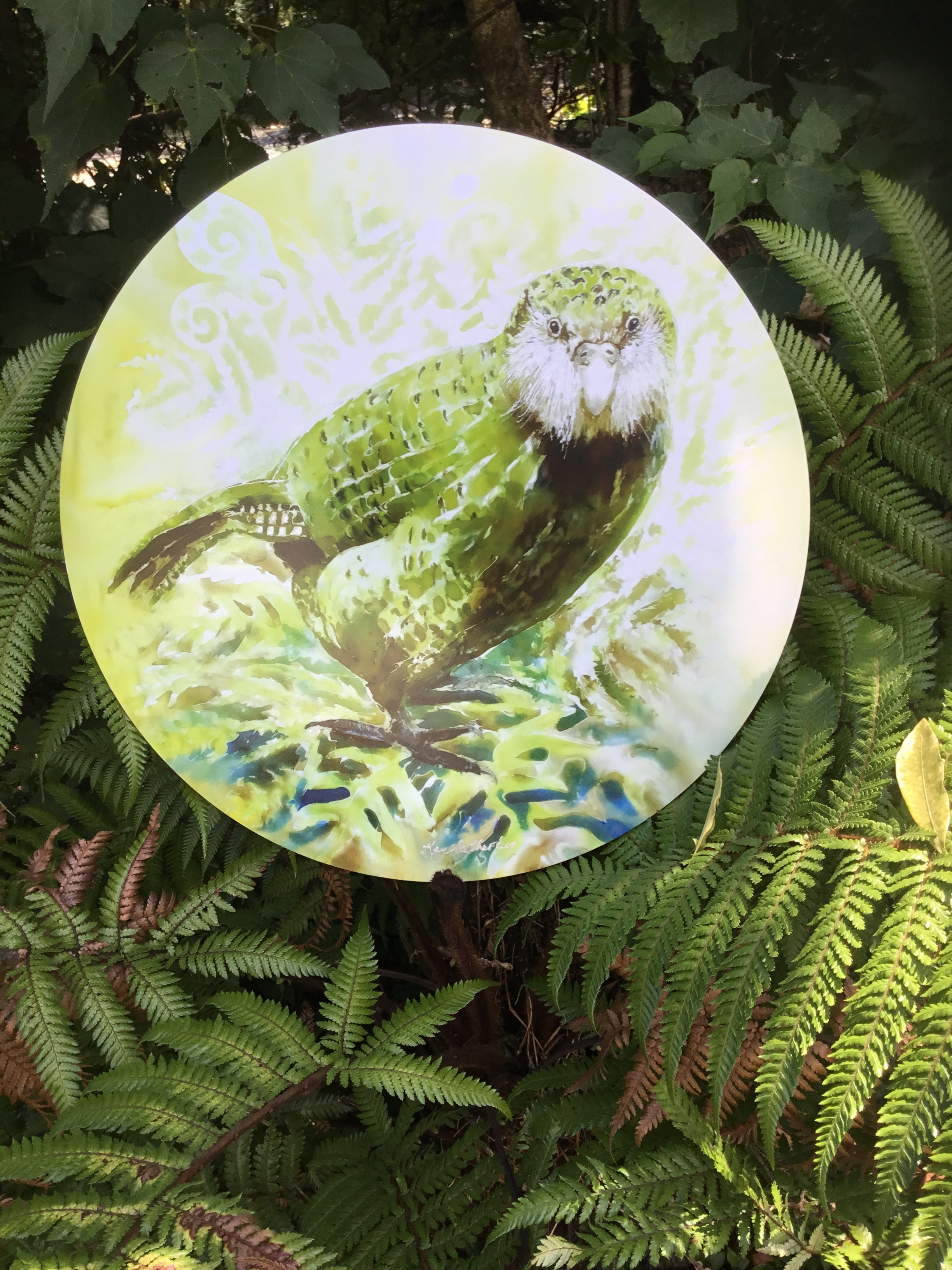 Kakapo New Zealand Bird - Circle Outdoor Art Panel