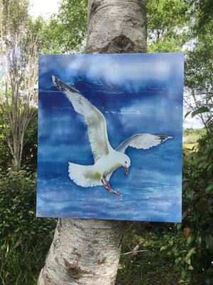 Seagull  - Art Panel  Squarish
