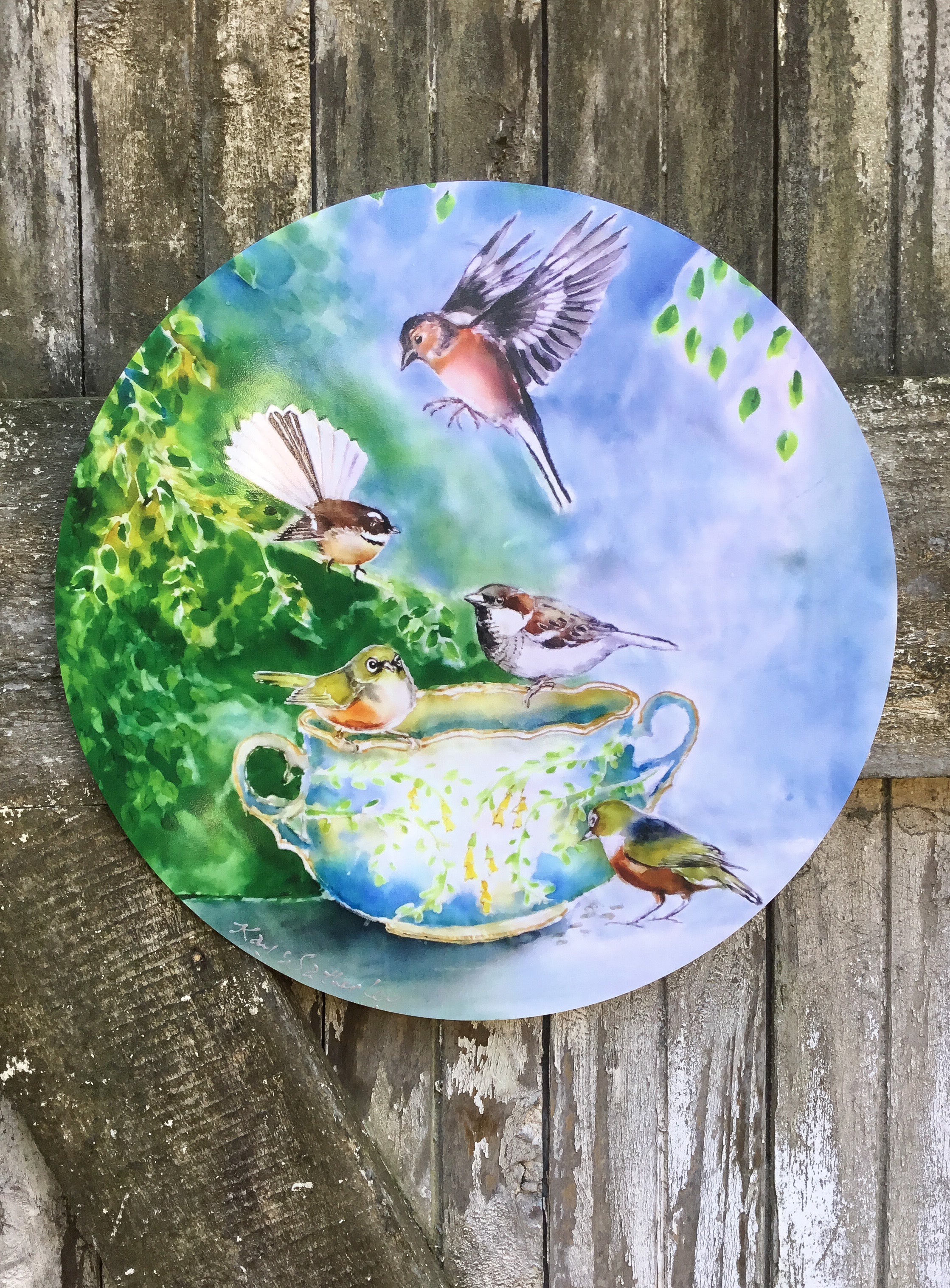 Small birds, SilverEyes, Chaffinch, Fantail and Sparrow on Vintage China - Circle Outdoor Art Panel