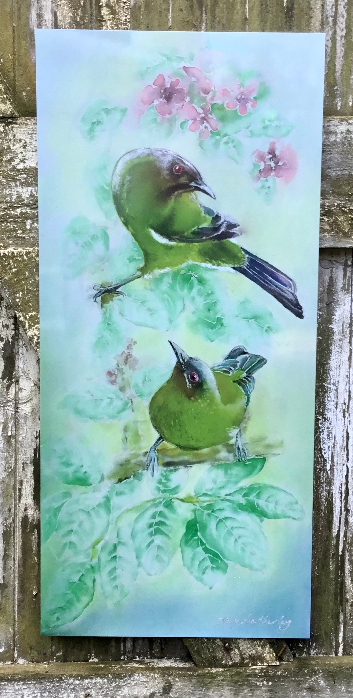New Zealand Bellbird, Korimako - Outdoor Garden Art Panel