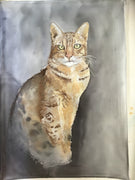 Commissioned Silk Painting of a Ocicat cat. Bespoke Silk Art