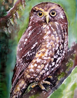 Ruru, Morepork New Zealand Native Owl Outdoor Wall Art - Satherley Silks NZ