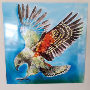 Kea Bird, NZ Alpine Parrot - Art Panel Squarish