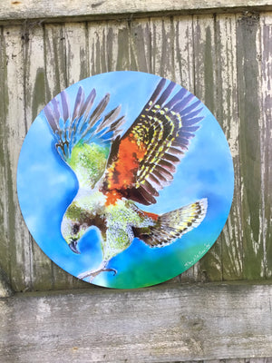Kea Bird, NZ Alpine Parrot, Outdoor Circle Art Panel - Satherley Silks NZ