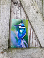 Kingfisher Outdoor Art Tile - Satherley Silks NZ