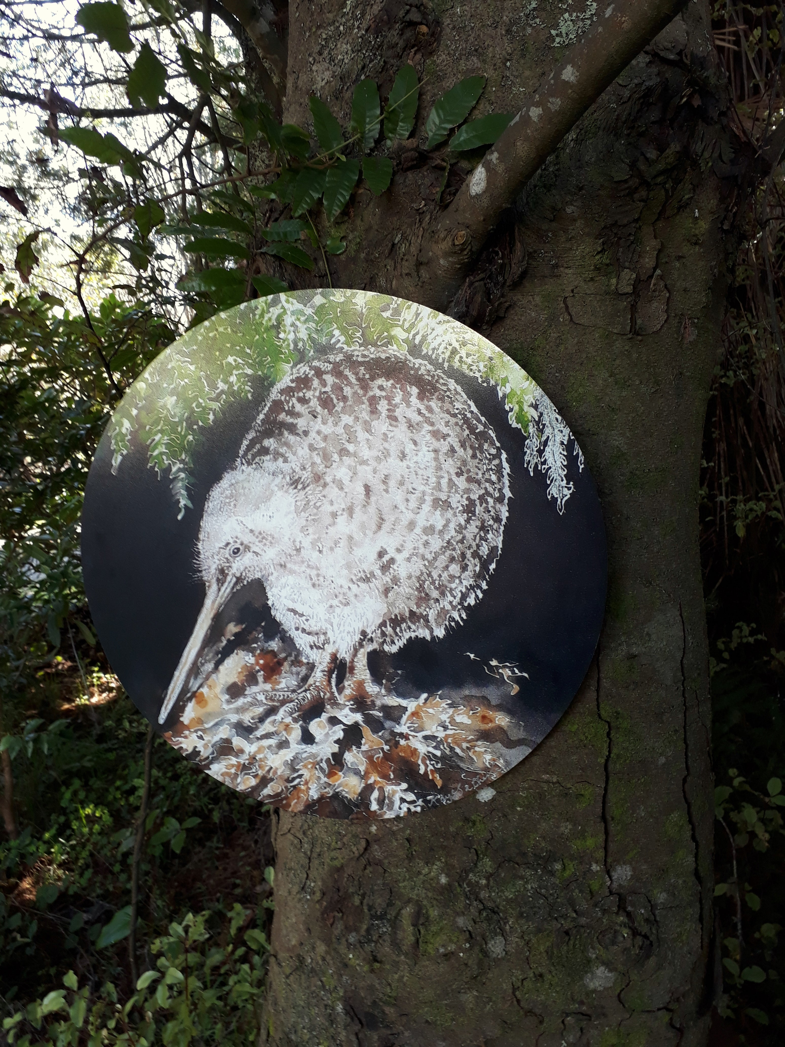 New Zealand Spotted Kiwi Bird, Circle Outdoor Art Panel - Satherley Silks NZ