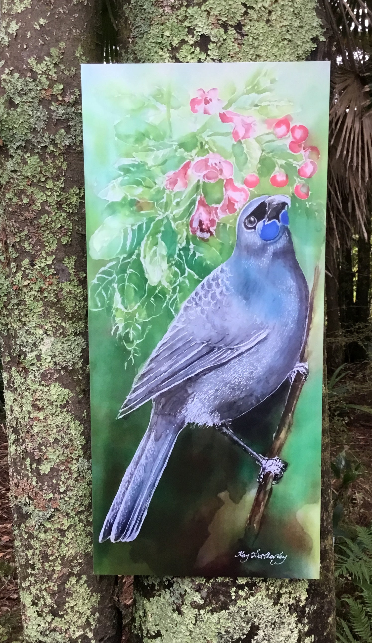 New Zealand Kokako on Puriri Tree - Outdoor Garden Art Panel
