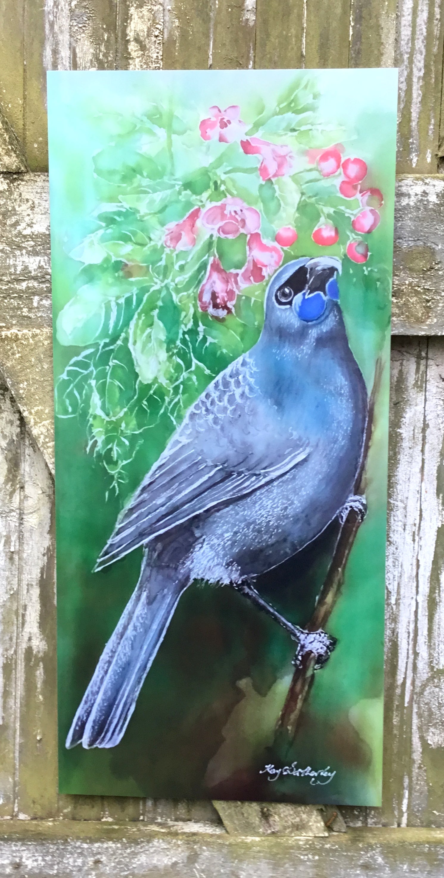 New Zealand Kokako on Puriri Tree - Outdoor Garden Art Panel