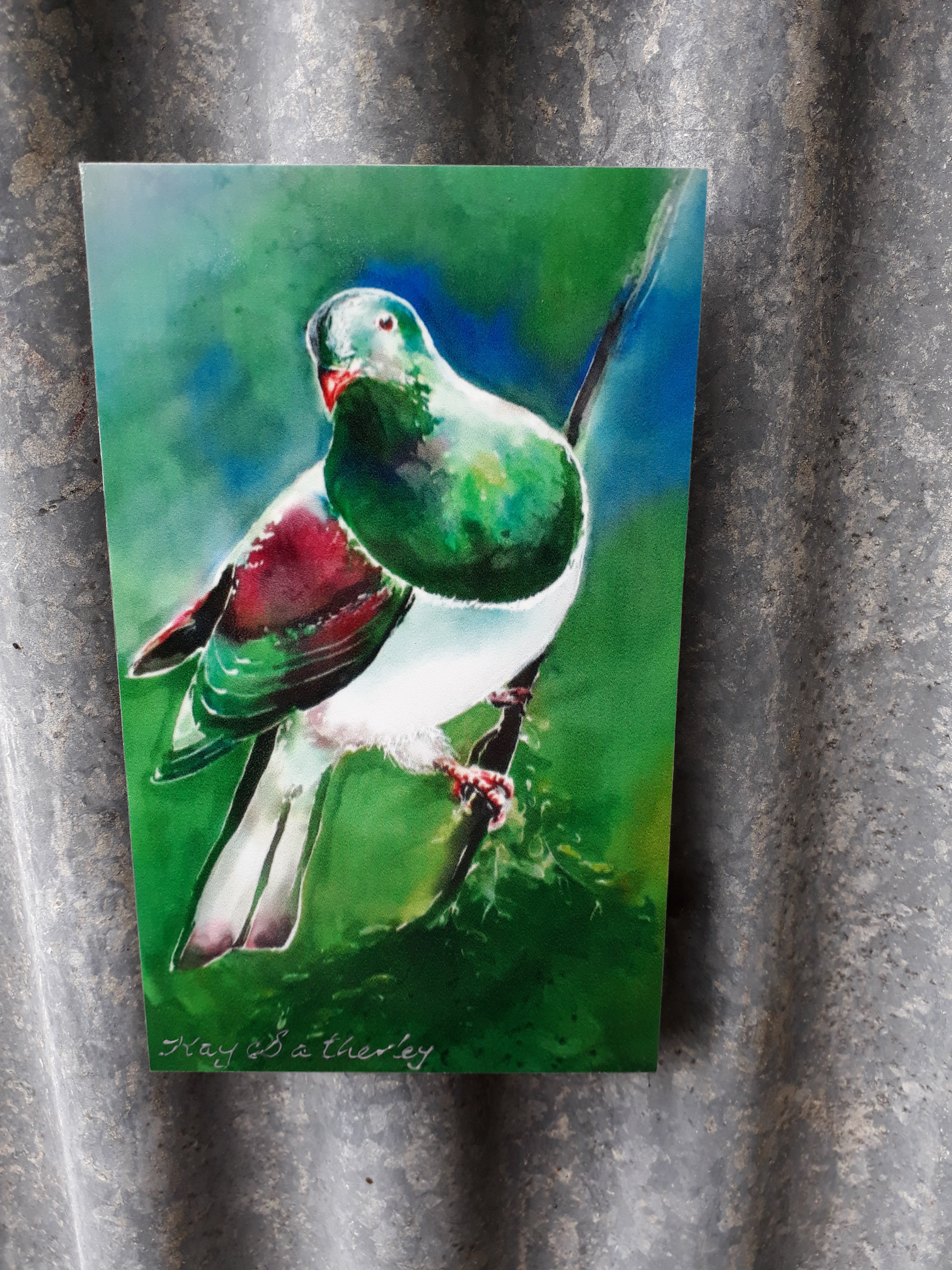 Special Trio of Kereru, Tui, and Fantail - Outdoor Art Mini Panels - Satherley Silks NZ