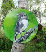 New Zealand Robin - Circle Art Panel