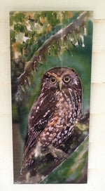 New Zealand Native Owl, Ruru - Outdoor Garden Art Panel - Satherley Silks NZ