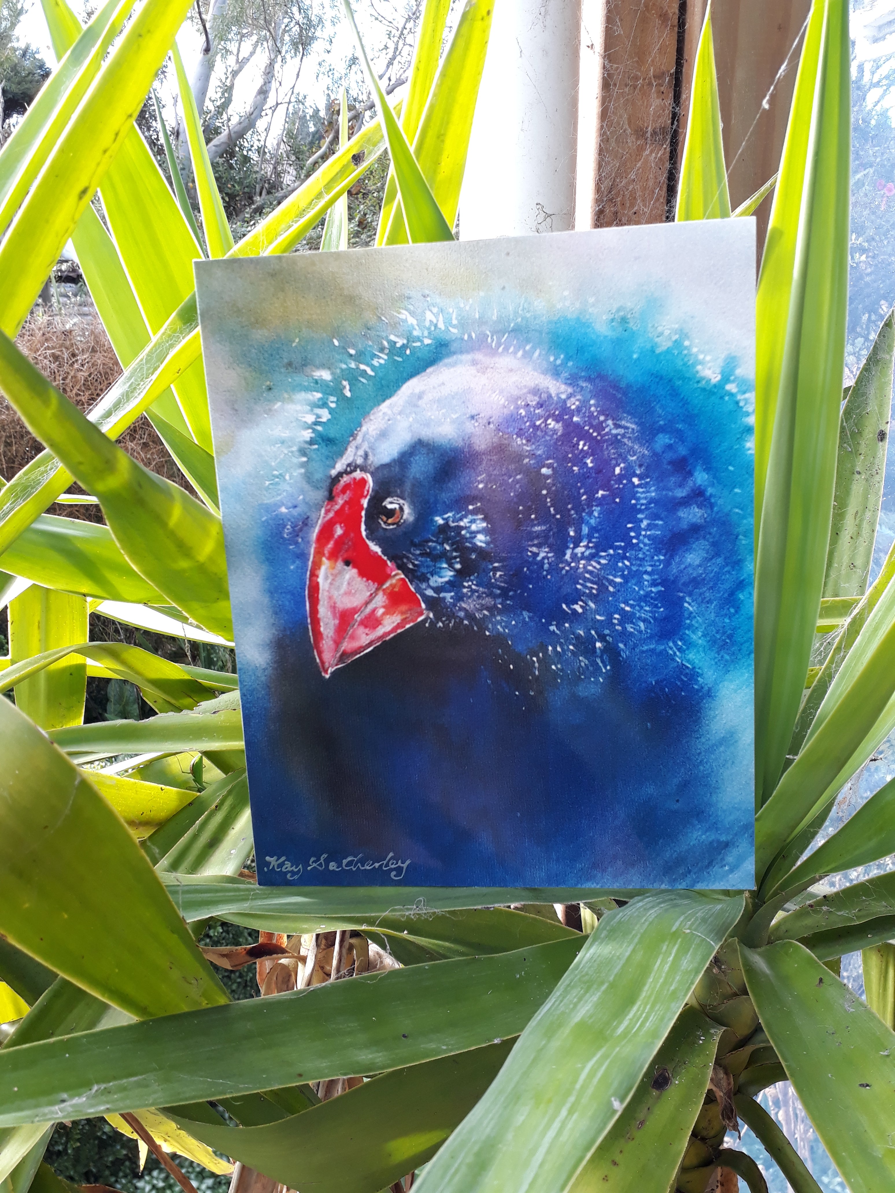 New Zealand Takahe Outdoor Art - Satherley Silks NZ