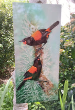 New Zealand Saddleback, Tieke - Outdoor Garden Art Panel