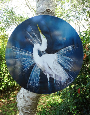 White Heron, Kotuku, New Zealand Bird - Circle Outdoor Art Panel