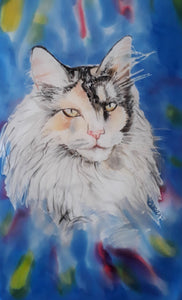 Main Coon Cat, Pet Portrait Silk Scarf - Satherley Silks NZ